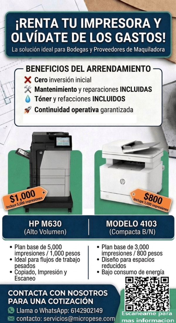 flyer mayo